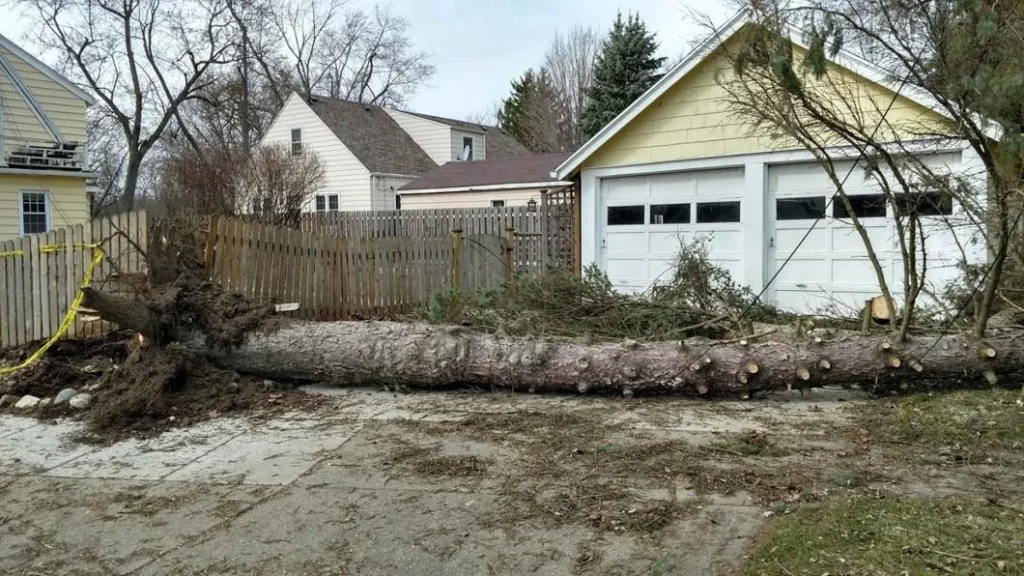 Emergency Tree Removal Services by Lou's Cutting Edge Tree Service LLC