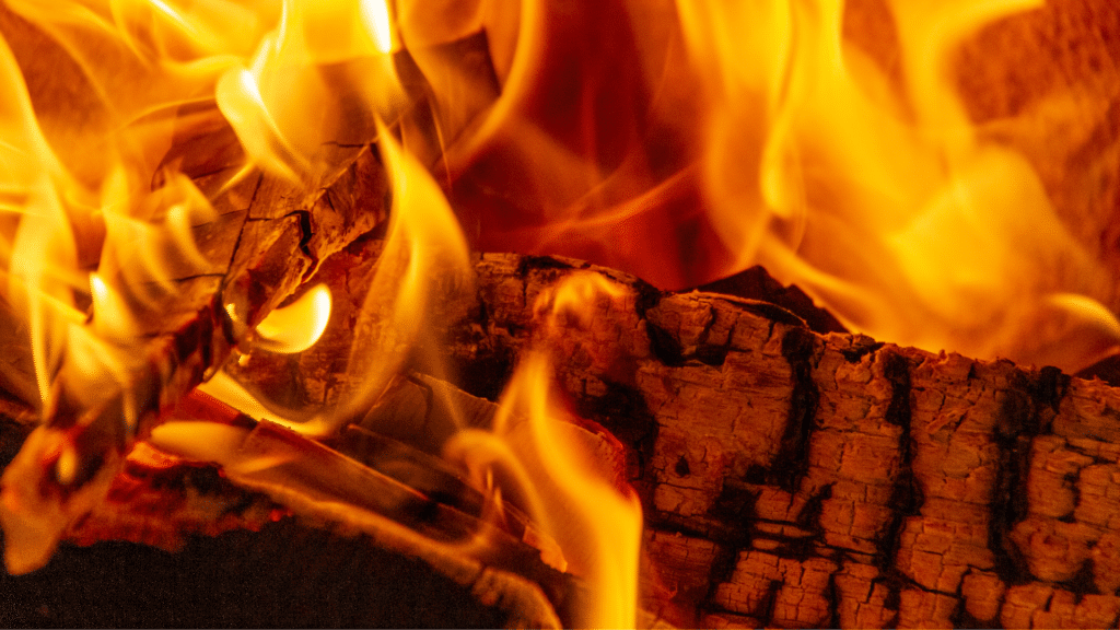 A closeup of burning firewood