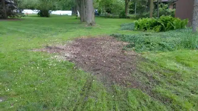 Stump removed and void filled with dirt