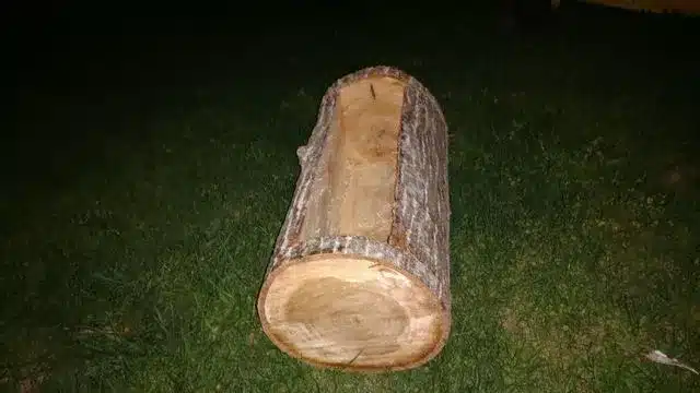 Custom Log Planter