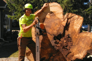 Lous Cutting Edge - Charlotte's Best Tree Service