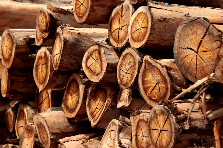 Logging Lous Cutting Edge Tree Service MI