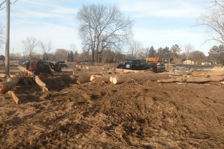 Lot Clearing Lous Cutting Edge Tree Service MI