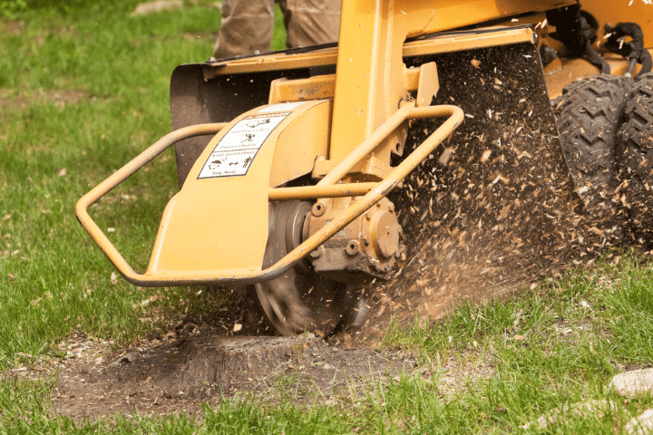 Stump Grinding Lous Cutting Edge Tree Service MI