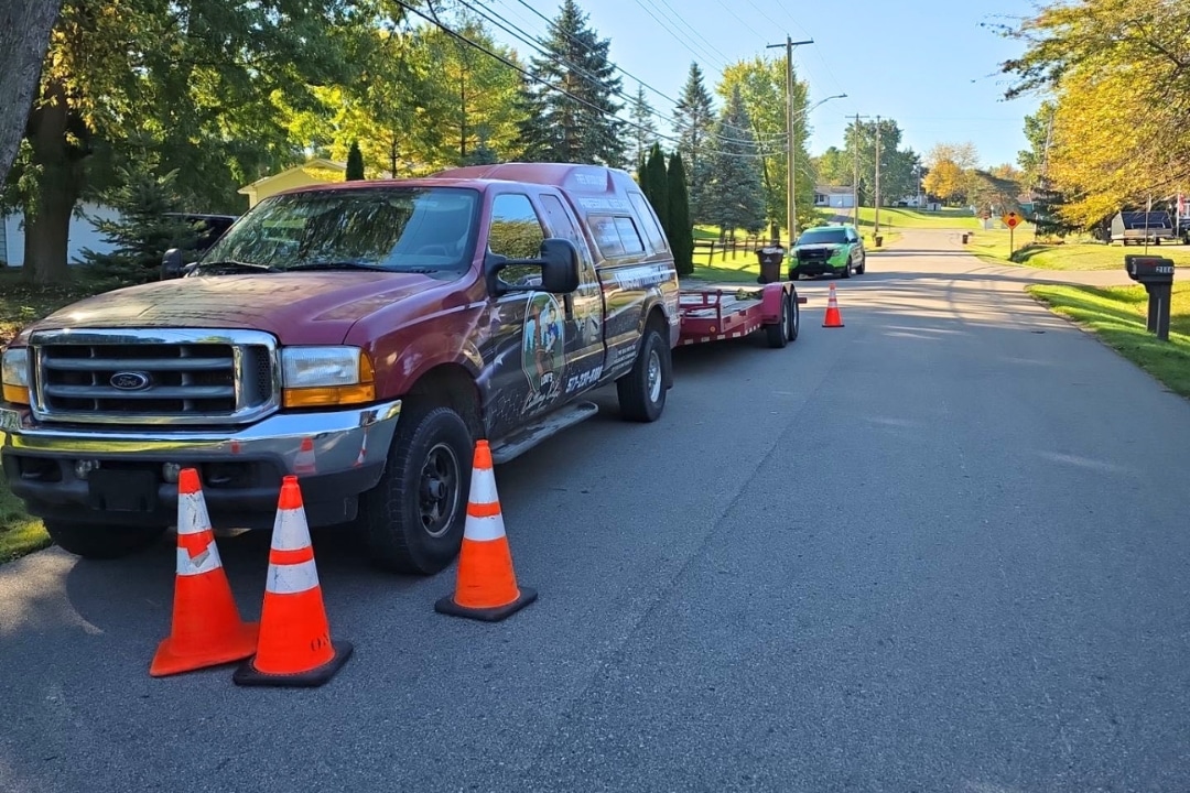 Local Invasive Species Removal in Michigan - Black Locust - Lous Cutting Edge Tree Service